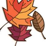 autumn leaves